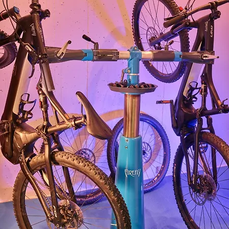 Отель Firefly Luxury Церматт