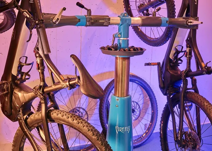 Отель Firefly Luxury Церматт