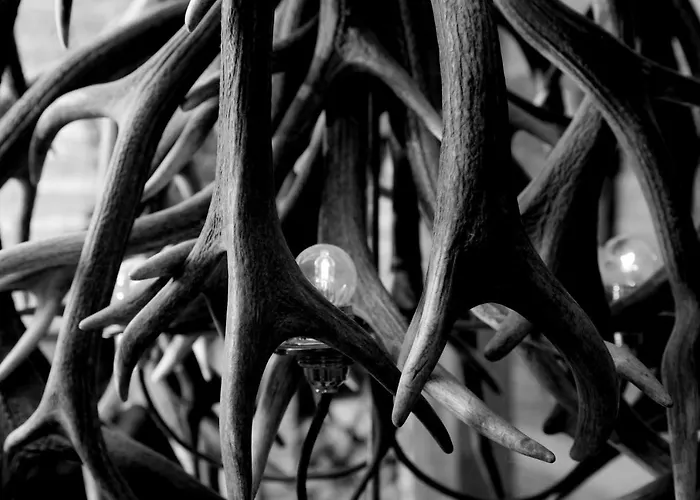 Firefly Luxury Hotel 4*